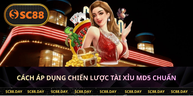 Cách áp dụng chiến lược tài xỉu MD5 chuẩn